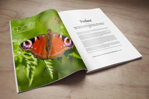 printdesign von magazinen und imagebroschüren für unternehmen