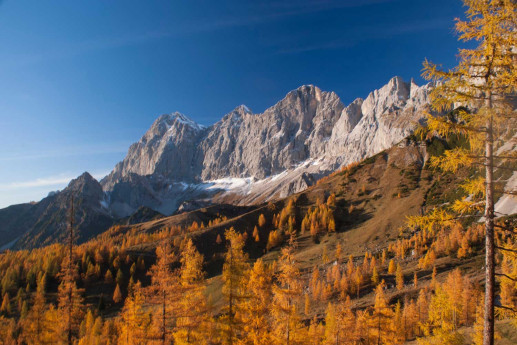 dachstein-panorama im herbst