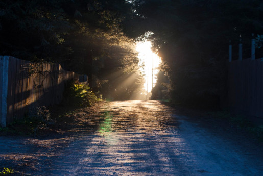 sonnenuntergangsstimmung