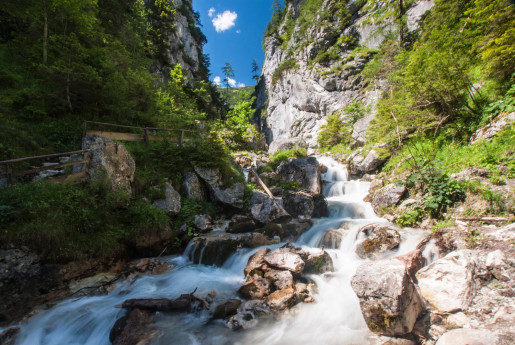 saftiges sommerliches grün in der silberkarklamm