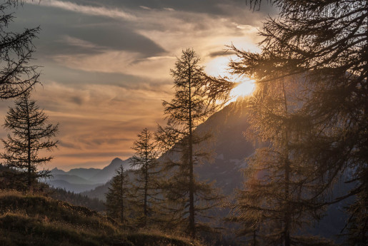 sonnenuntergang am brandriedl
